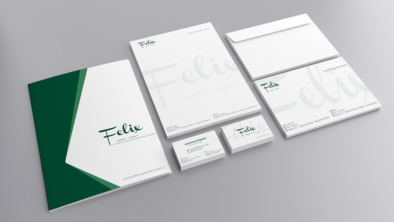 Visual Identity Flex Company